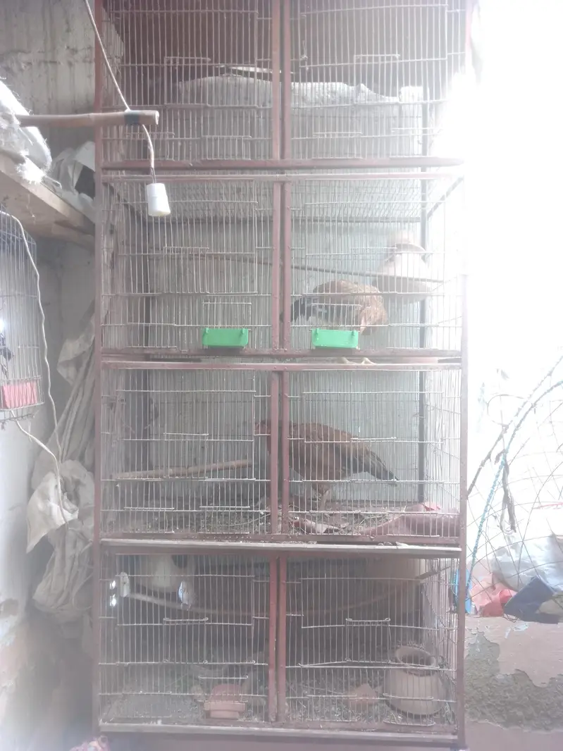 urgent sales need for cash — photo 5