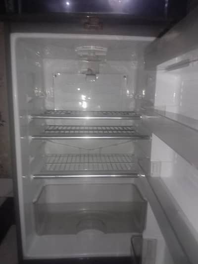 bilkul lush urgent 4 sale