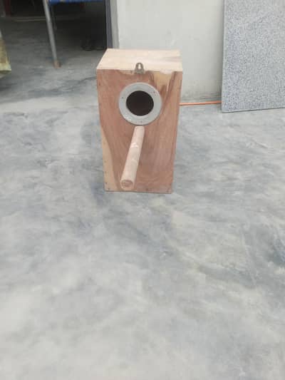 parrot box