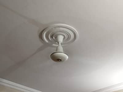 fans for sale