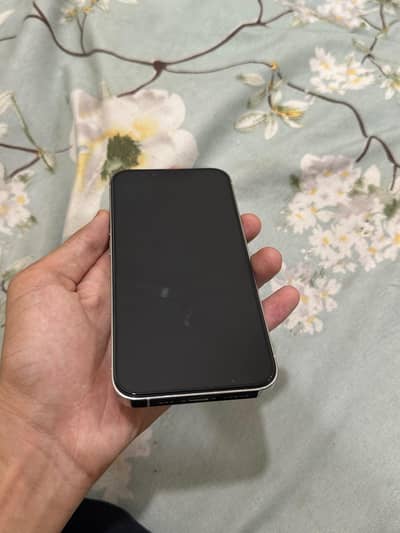 Apple iPhone 13 Pro