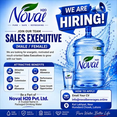 Sales executive need