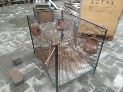parrot cage
