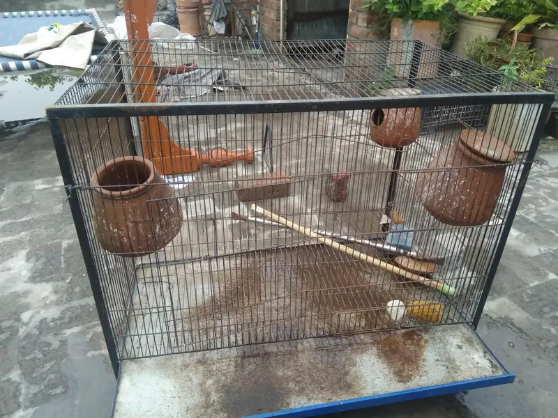 parrot cage — photo 3