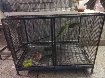 cage for sale