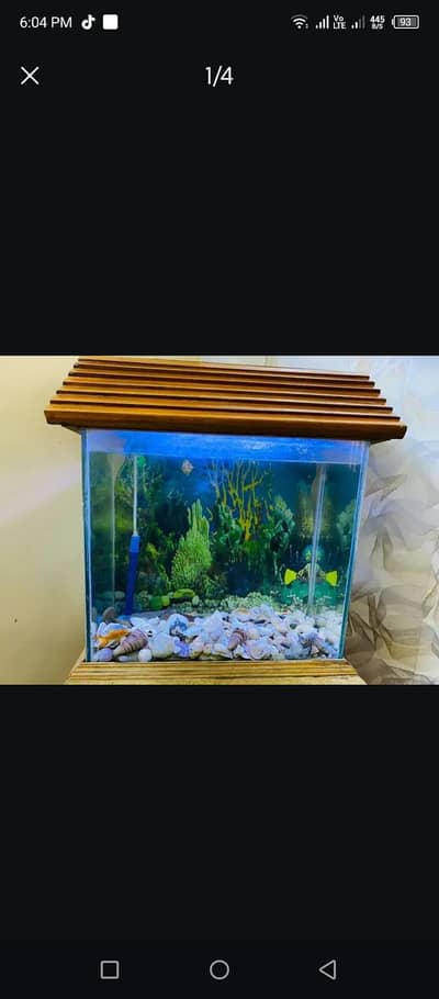 glass aquarium with wooden table