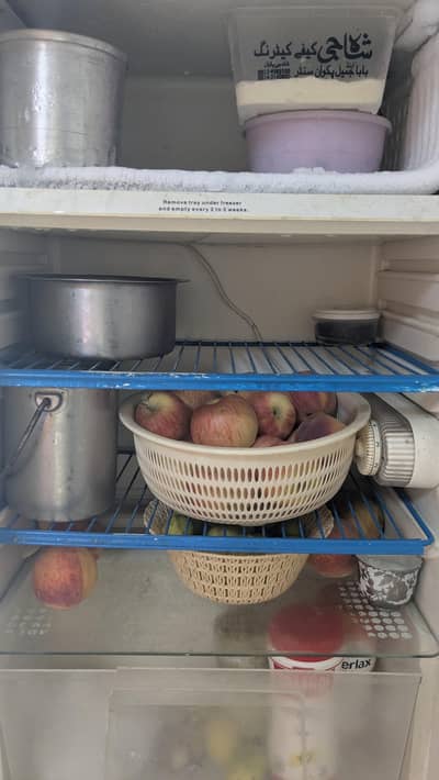 Single Door Mini fridge good condition 03121364200