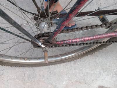 bicycle