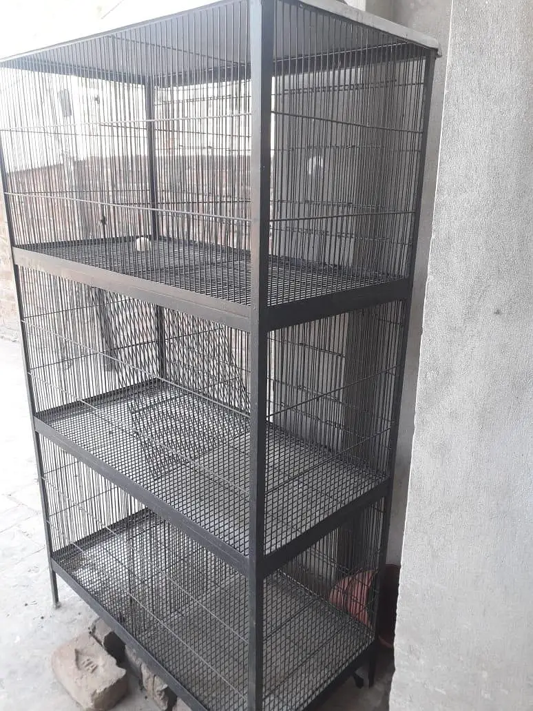 pinjra cage 6 cabin iron wire iron trace 10 by 10 condition available — photo 2