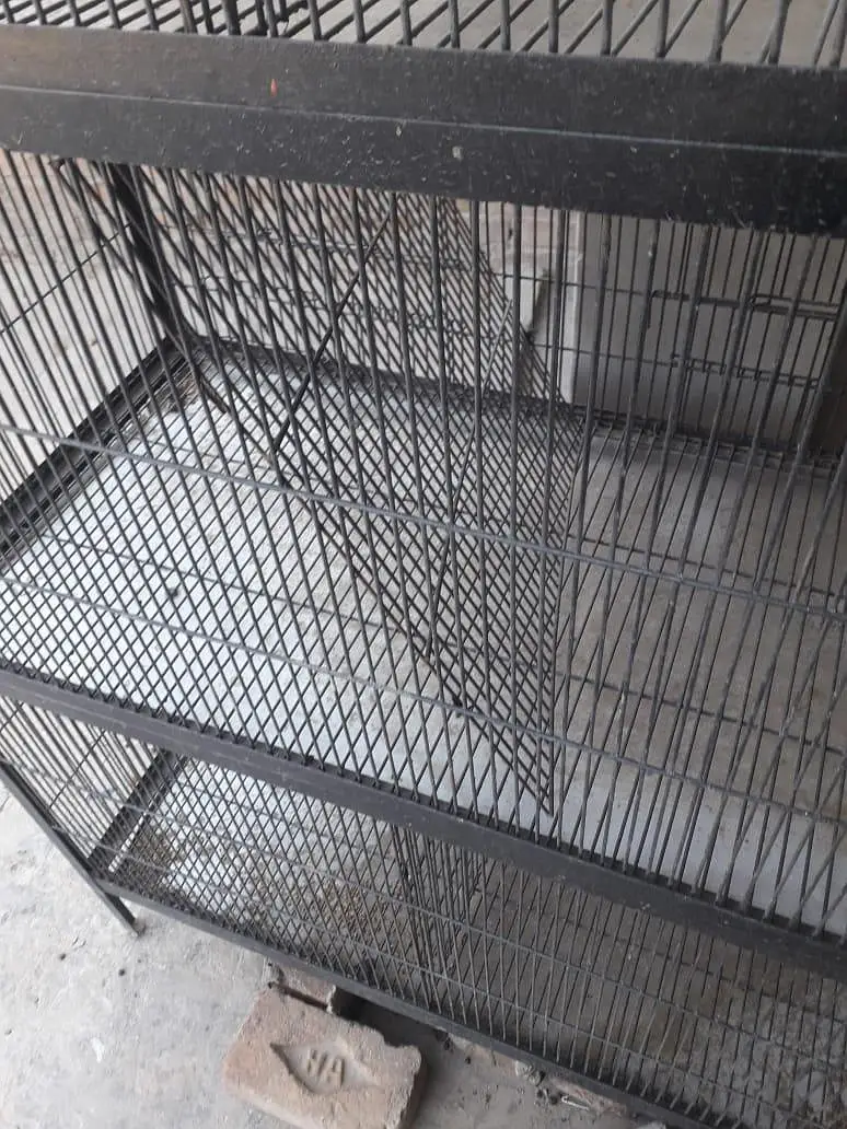 pinjra cage 6 cabin iron wire iron trace 10 by 10 condition available — photo 3
