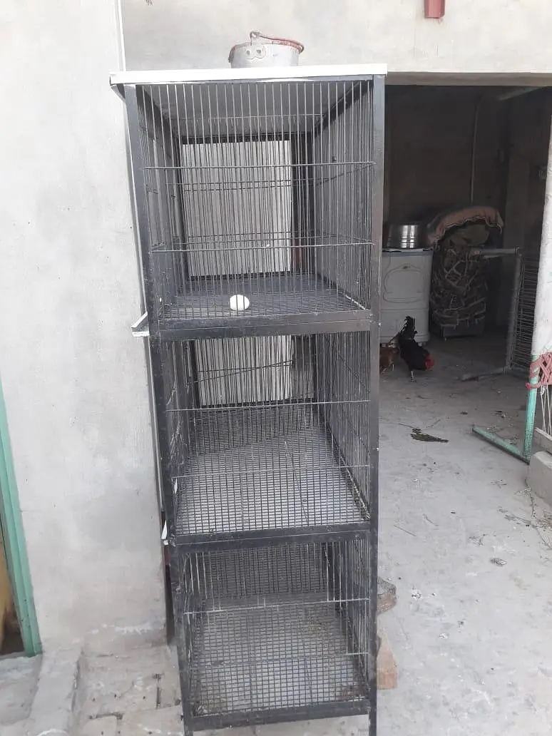 pinjra cage 6 cabin iron wire iron trace 10 by 10 condition available — photo 5