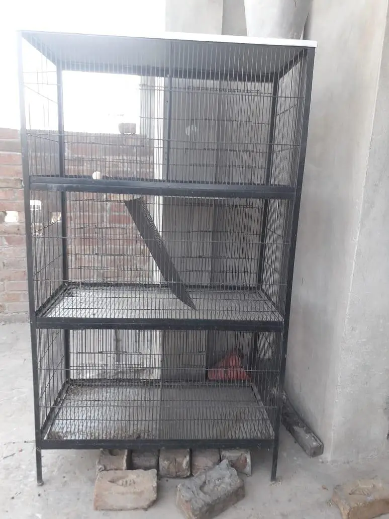 pinjra cage 6 cabin iron wire iron trace 10 by 10 condition available — photo 6