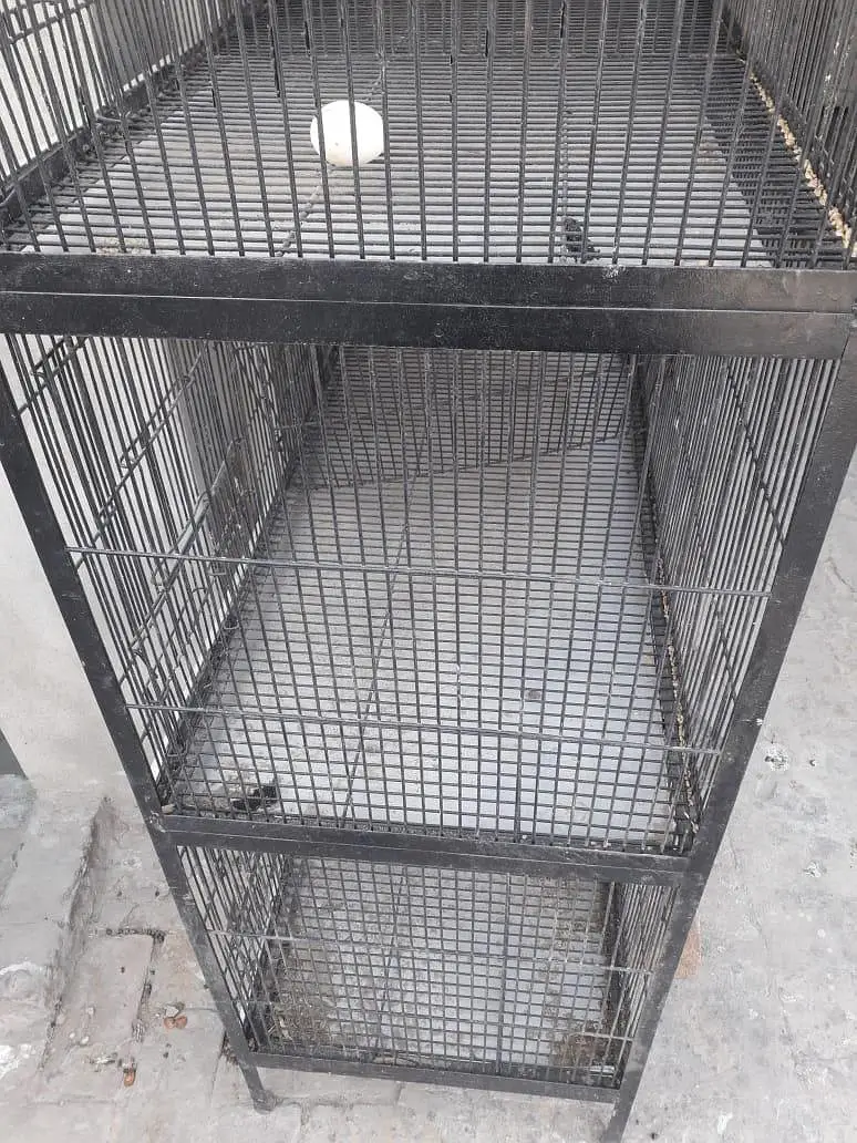 pinjra cage 6 cabin iron wire iron trace 10 by 10 condition available — photo 8