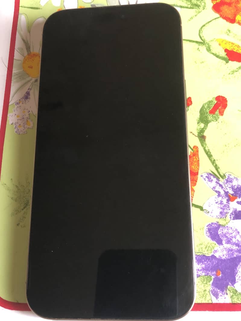 iPhone pro max 1