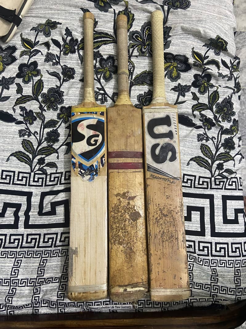 Cricket kit 1