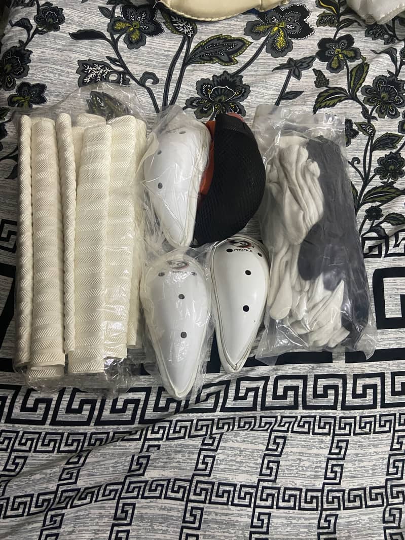 Cricket kit 2