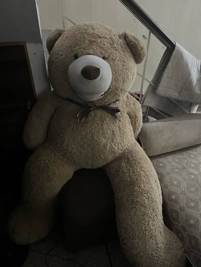 same like new teddy bear