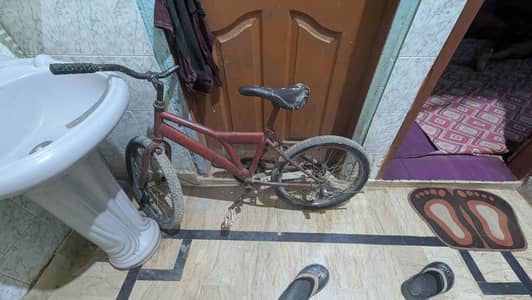 cycle all oky