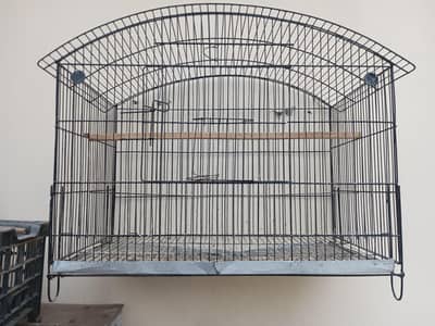 Birds Cage