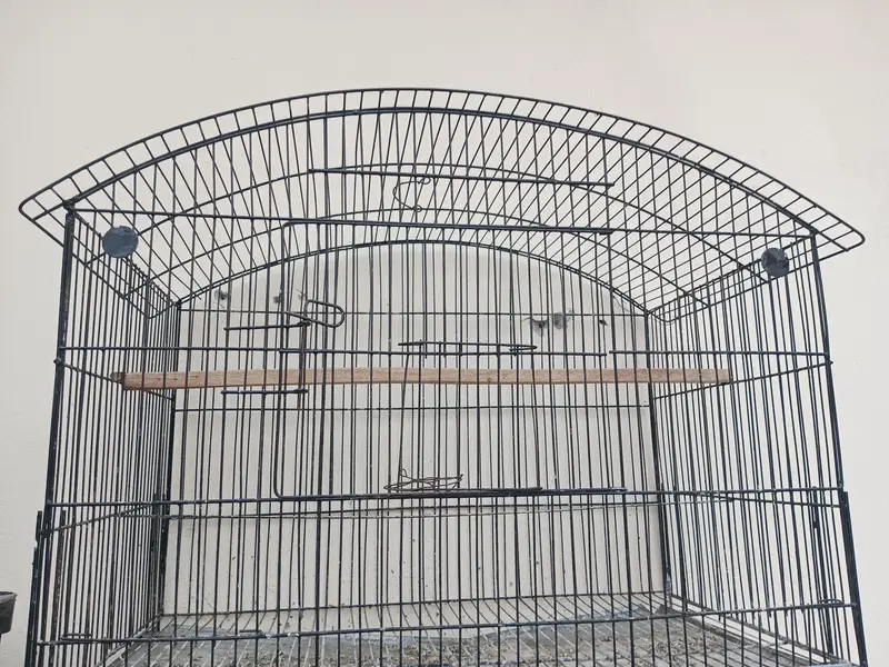 Birds Cage — photo 2