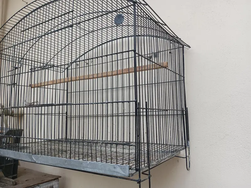 Birds Cage — photo 3