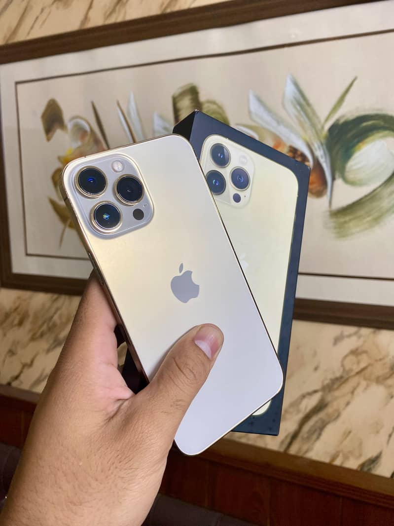 Apple iPhone 13 Pro Max 1