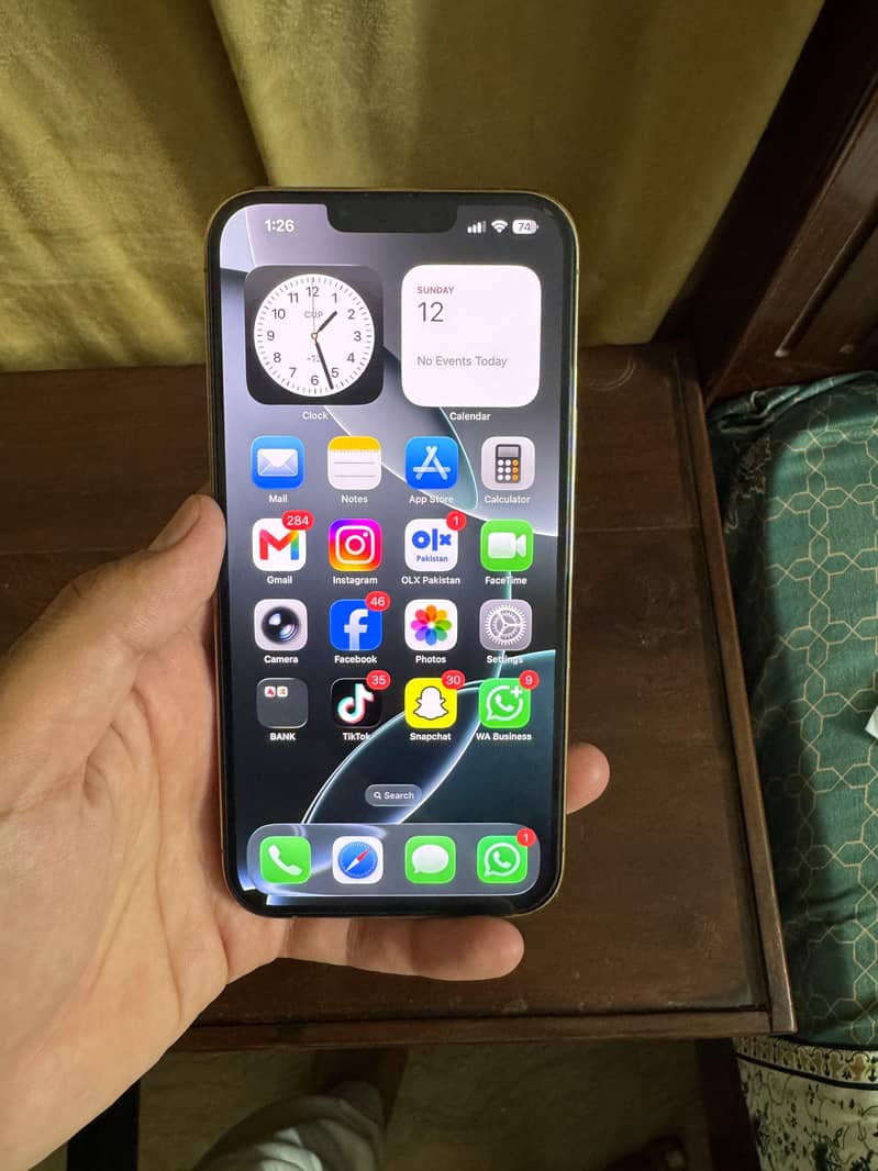 Apple iPhone 13 Pro Max 4