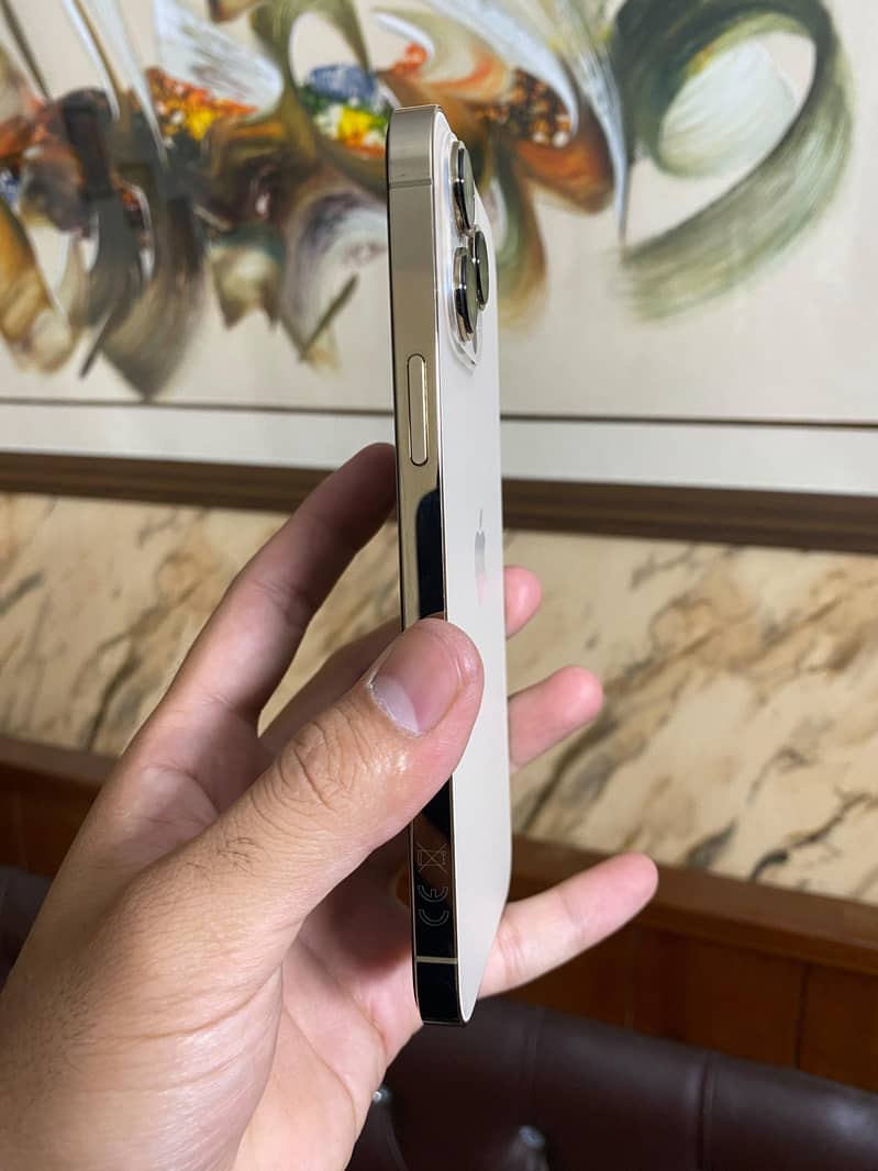 Apple iPhone 13 Pro Max 5