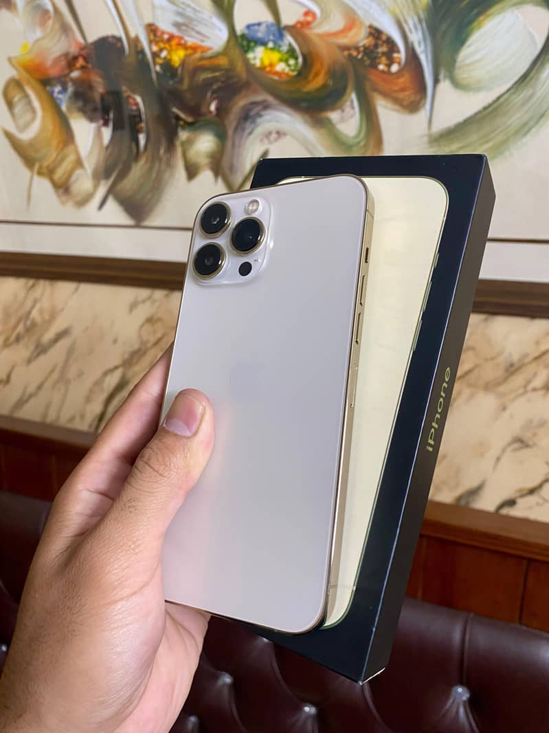 Apple iPhone 13 Pro Max 7
