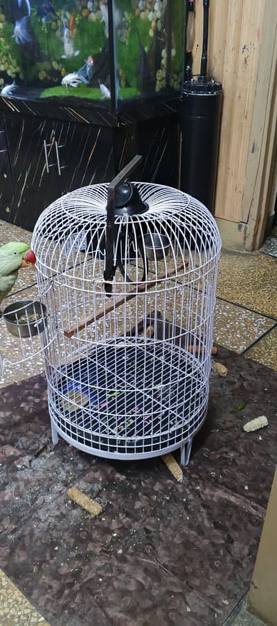 Iron Cage for Parriots