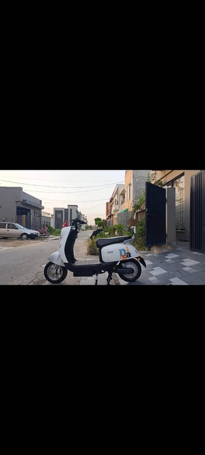 Evee Nisa for Sale