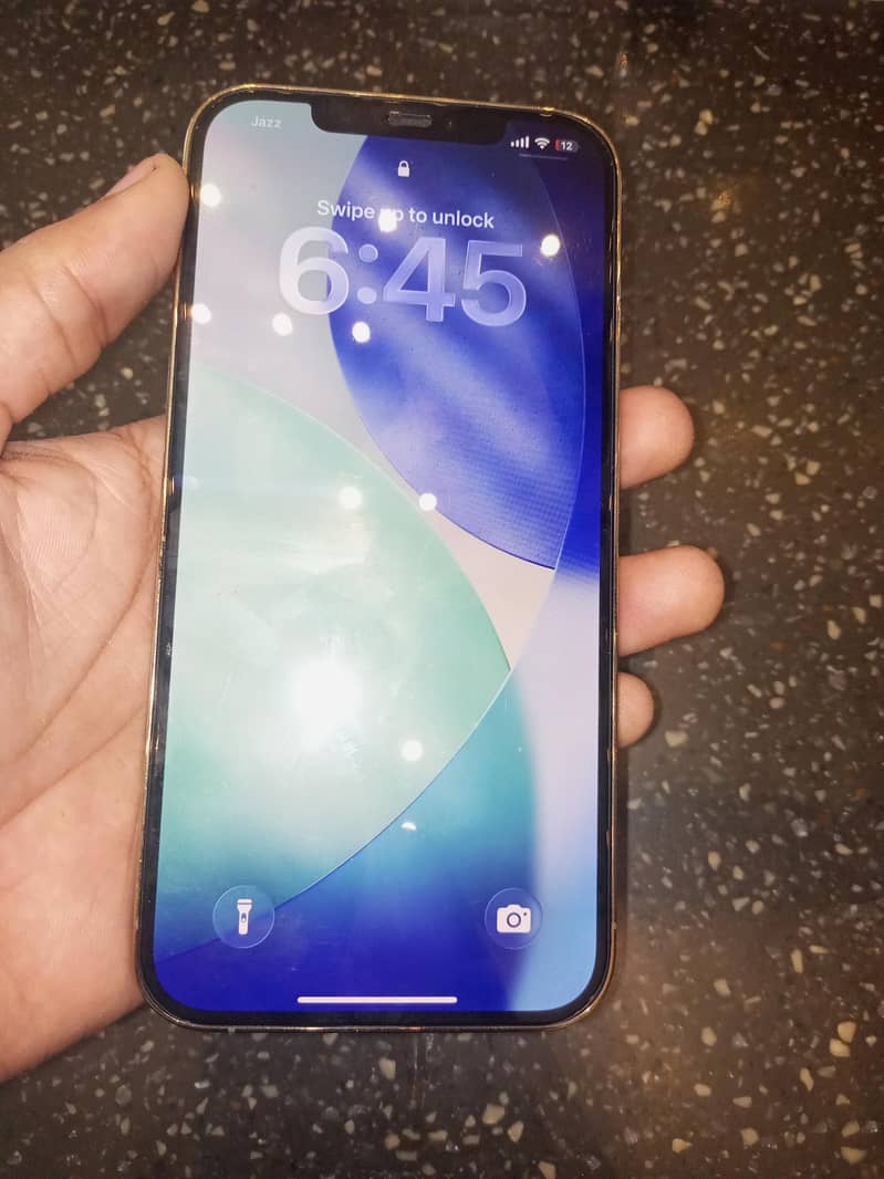 Apple iPhone 12 Pro Max 1