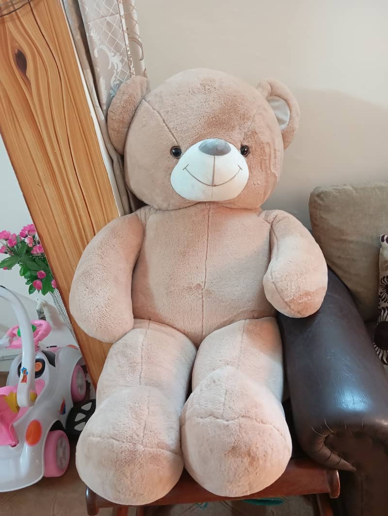 Teddy Bear 0
