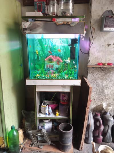 fish or sale