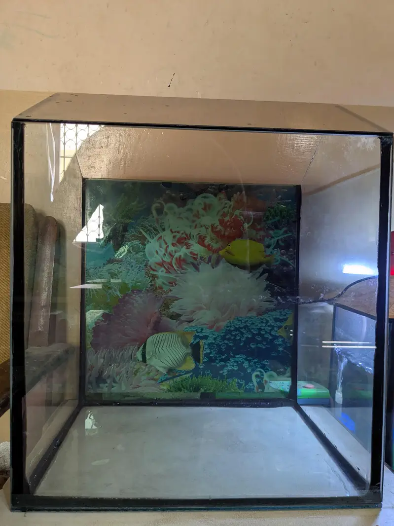 To aquarium sale with fish — photo 2