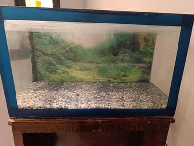 aquarium