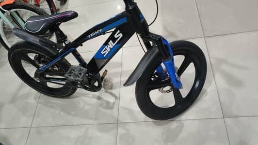 champion bicycle