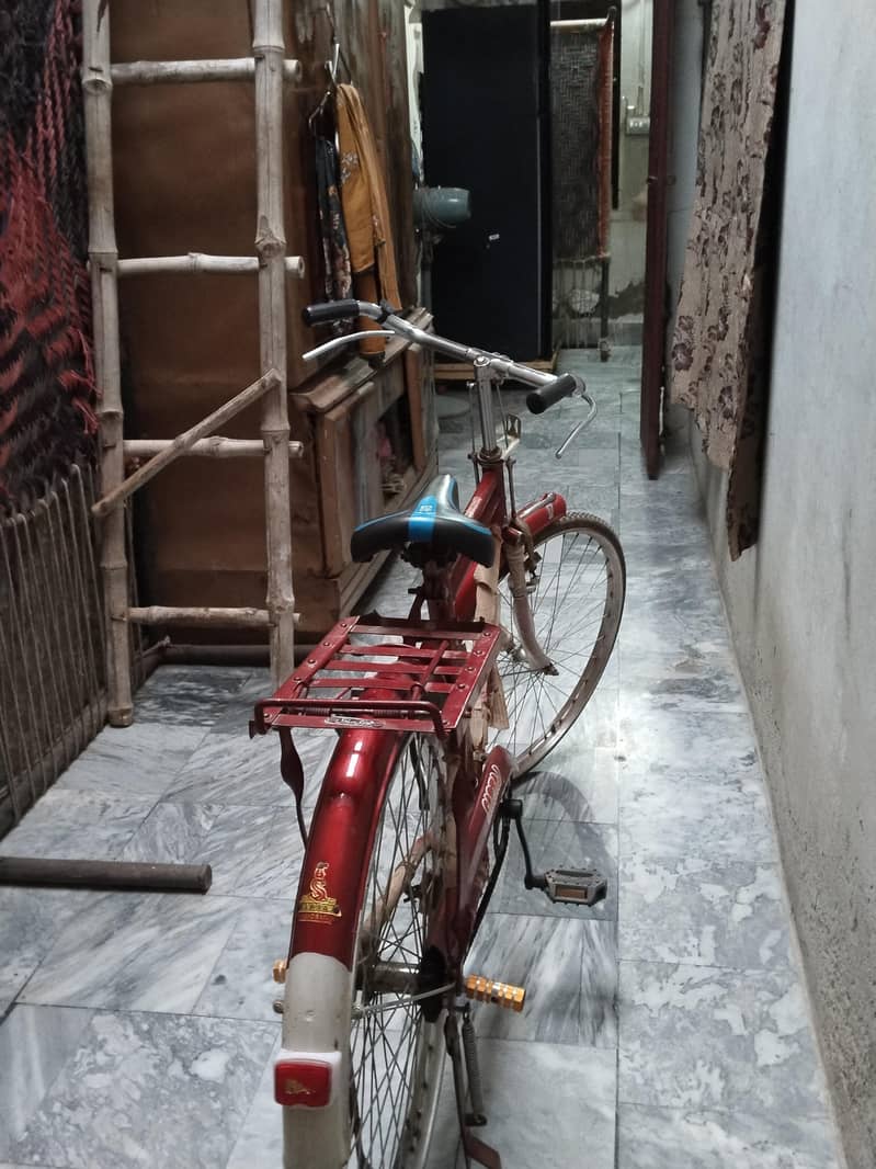BICYCLE 1