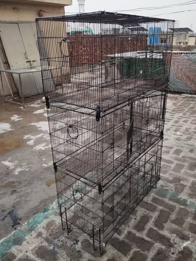 cage birds