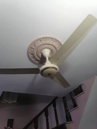 56 inch celing fan