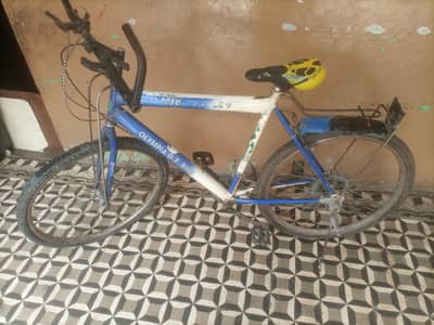 Bicycle