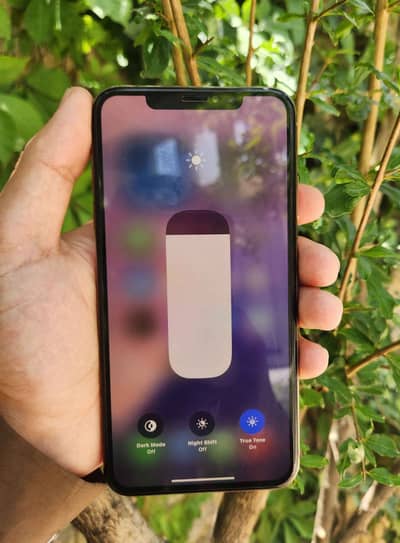 Apple iPhone XS Max