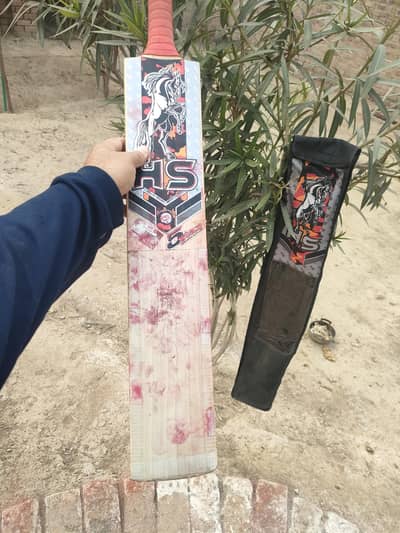 Hard Ball bat hs