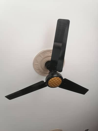 56 inch celing fan