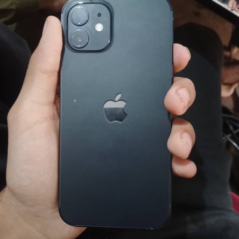 Apple iPhone 12 1