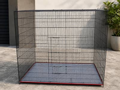 Big Size Raw, macaw, African gray Cage.