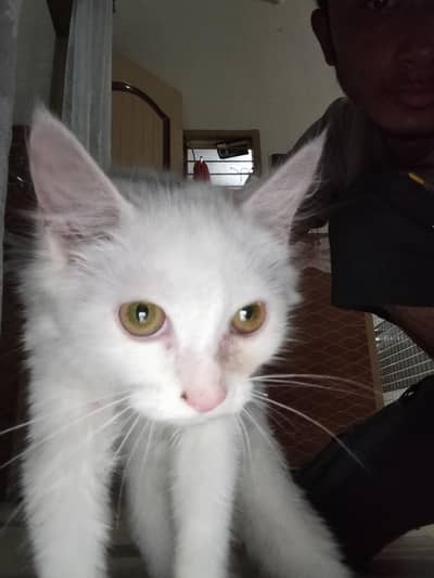 For sale