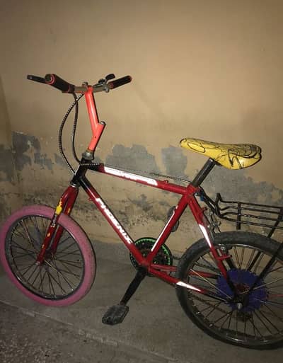 Bicycle 10/8