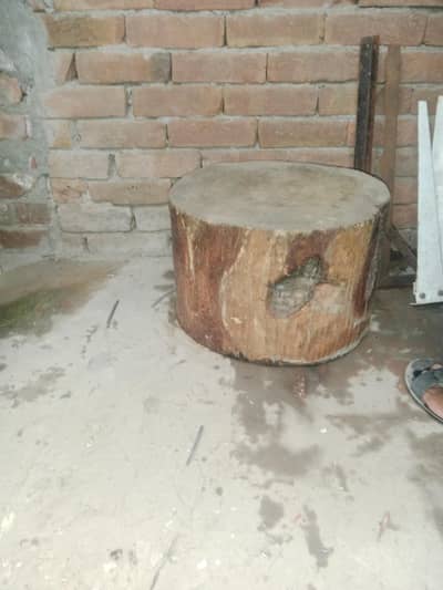 chicken keef and wooden log(muddi) for meat cutter