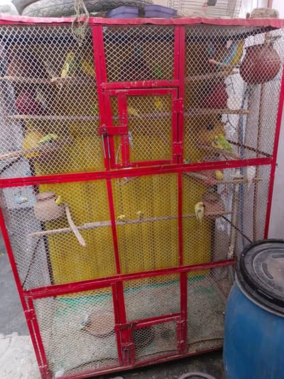 pinjra or toote saath